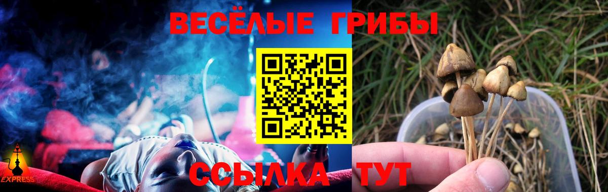 Галлюциногенные грибы мицелий  Вход с VPN  Луга  Галлюциногенные грибы GOLDEN TEACHER 